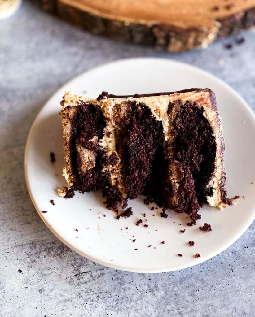 slice of s;mores peanut butter cake