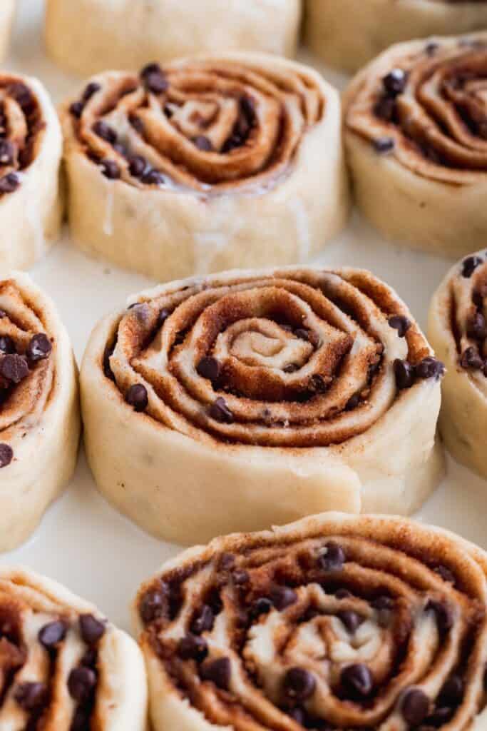 Chocolate Chip Cinnamon Rolls - Stephanie's Sweet Treats