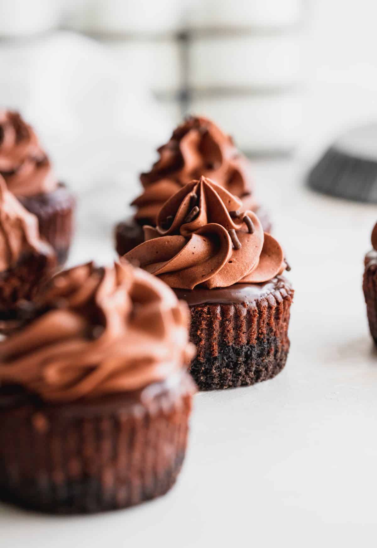 Mini chocolate cheesecakes with chocolate whipped cream on top.