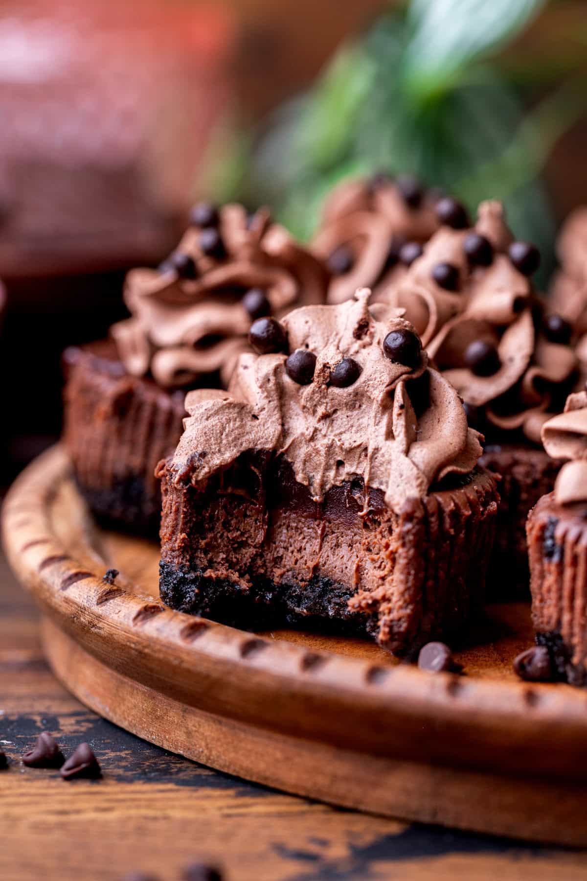 Bite missing from mini chocolate cheesecakes.