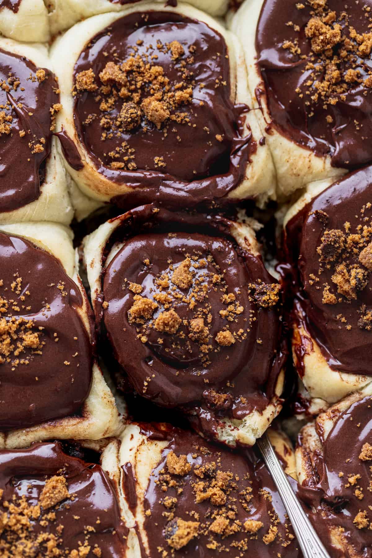 Close up of chocolate cookie cinnamon rolls.