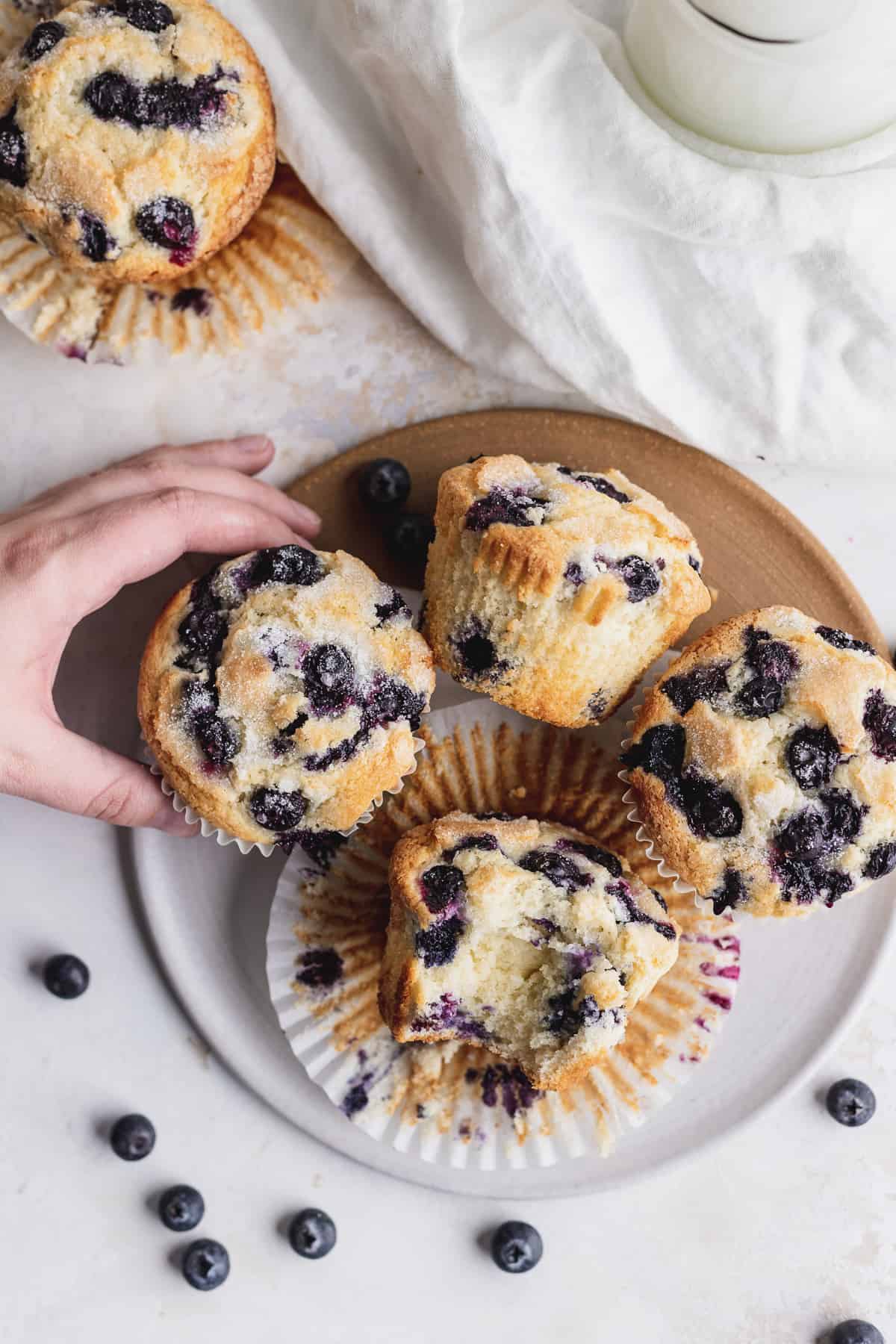 Jumbo Blueberry Muffins, Stephanie's Sweet Treats