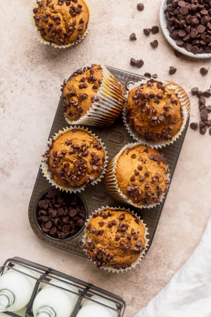 Tray of pumpkin chocolate chip muffins.