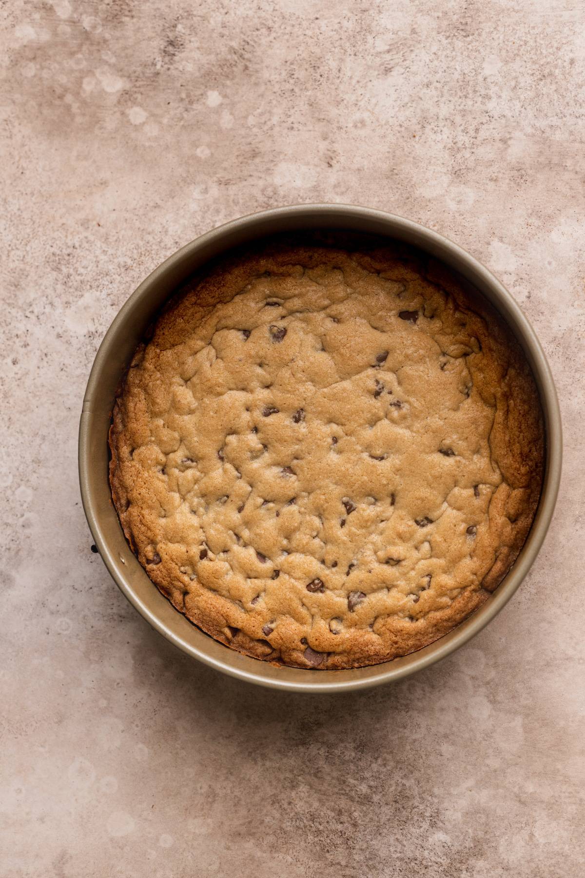 Cookie crust in a springform pan.