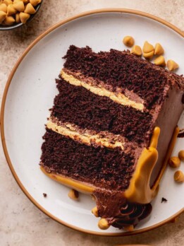 Chocolate butterscotch cake slice on a plate,