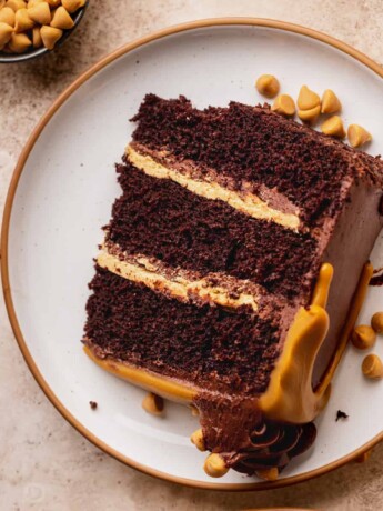 Chocolate butterscotch cake slice on a plate,