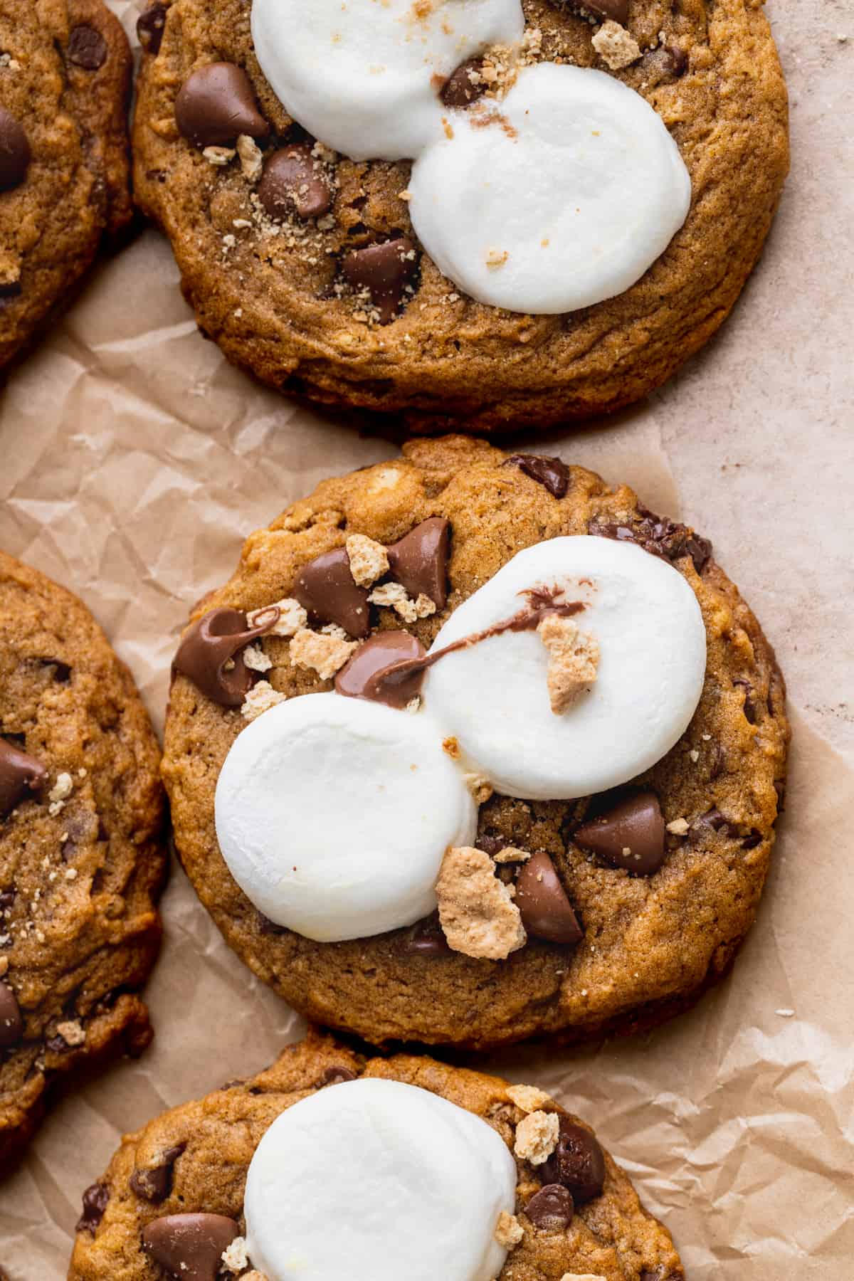 Pumpkin s'mores cookies with gooey marshmallows on top.