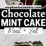 Pinterest pin for chocolate mint cake.
