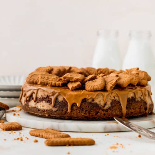 Biscoff cheesecake on top of a marble board.