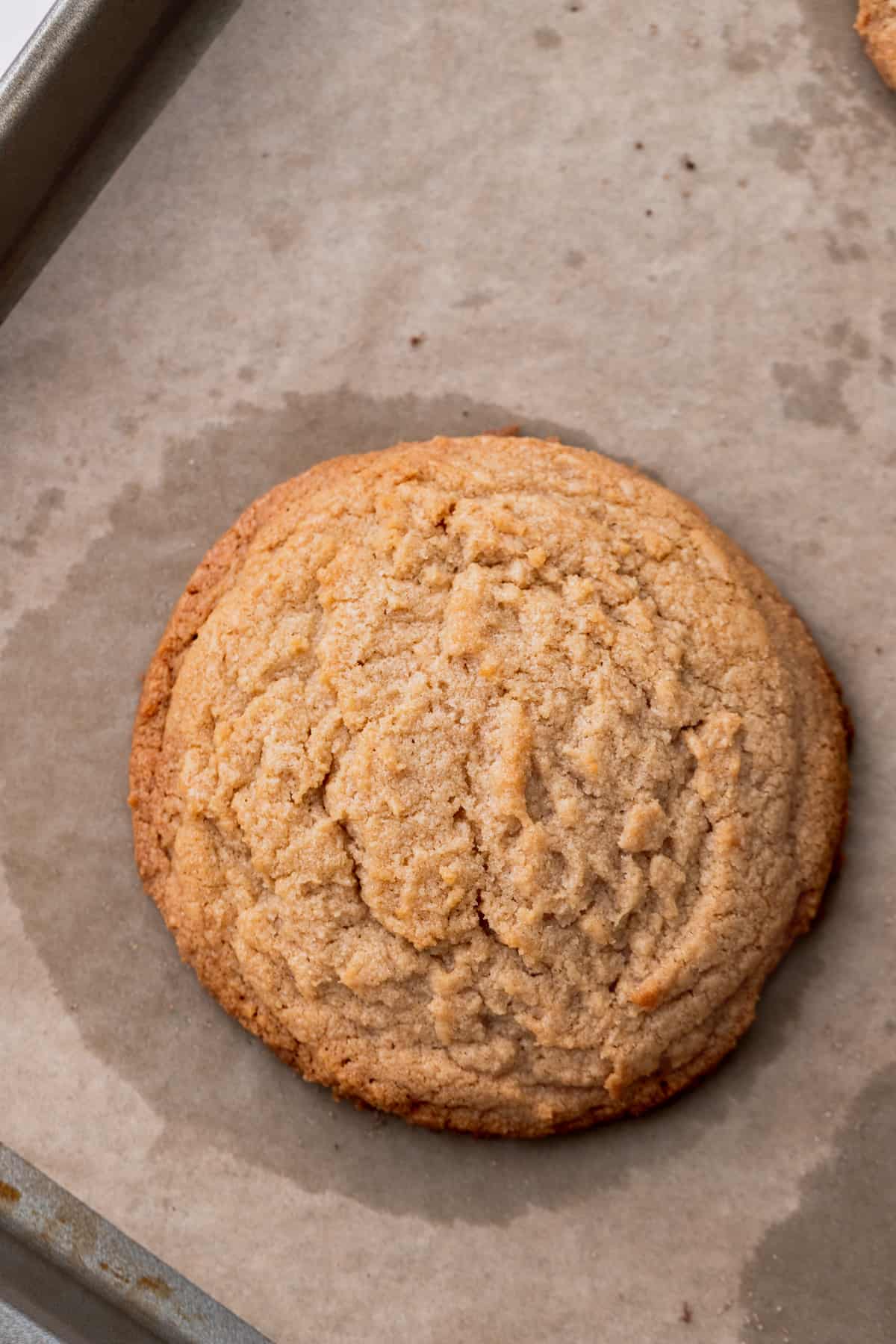 Peanut butter cookie baked on a cookie sheet.
