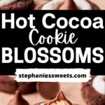 Pinterest pin for hot cocoa cookie blossoms