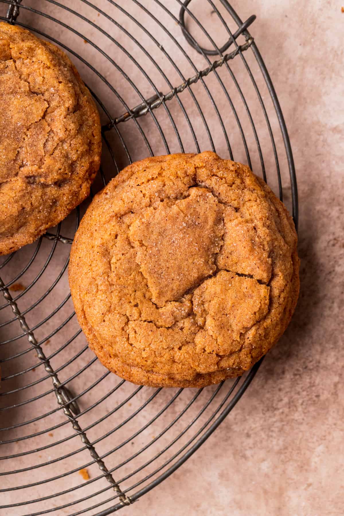 One chewy pumpkin snickerdoodle cookies on a wire rack.