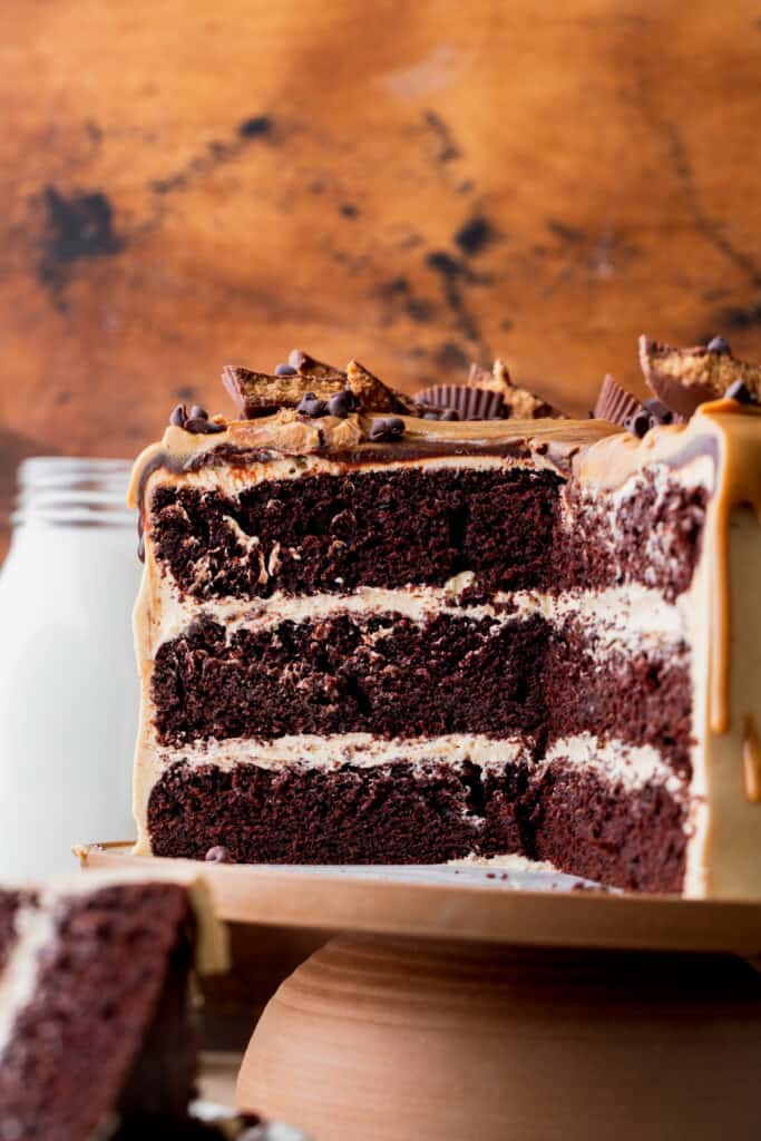 Close up of the chocolate peanut butter cake.