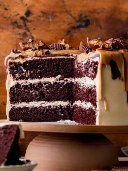 Cut open chocolate peanut butter cake.