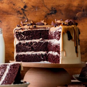 Cut open chocolate peanut butter cake.