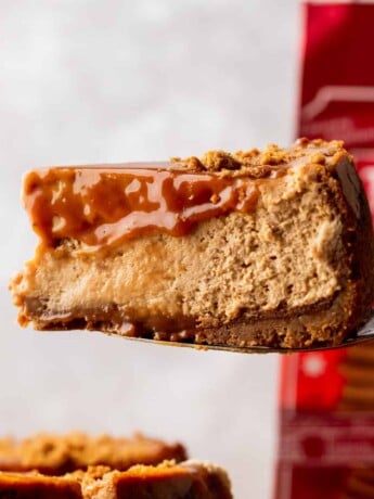 Close up of slice of gingerbread cheesecake.