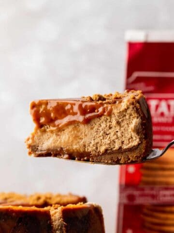Close up of slice of gingerbread cheesecake.