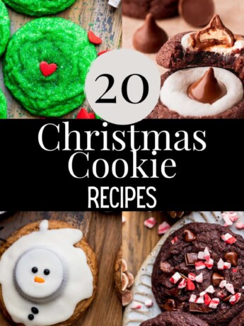 Top 20 christmas cookie recipes.