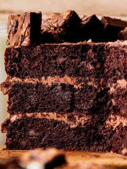 Close up of brownie cake split open.