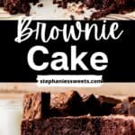 Pinterest pin for brownie cake.