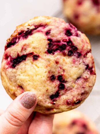 Holding a lemon blackberry cookie in my hand.