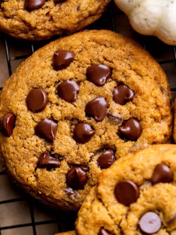 Close up of pumpkin chocolate chip cookies.