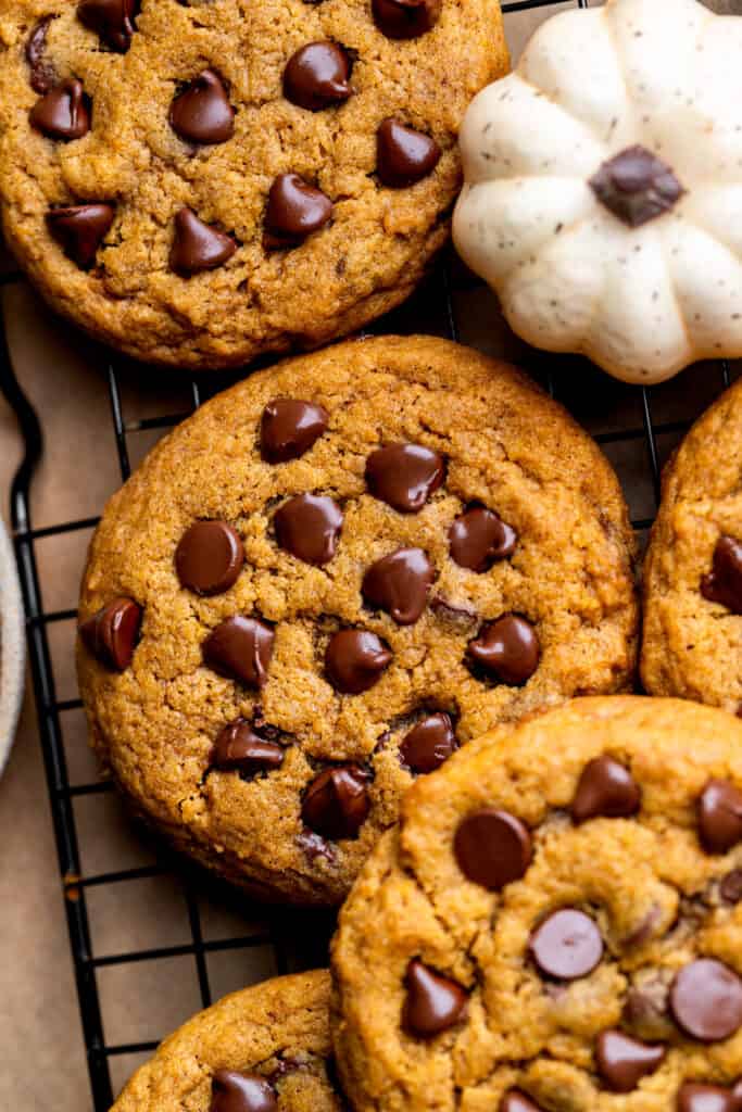 Close up of pumpkin chocolate chip cookies.