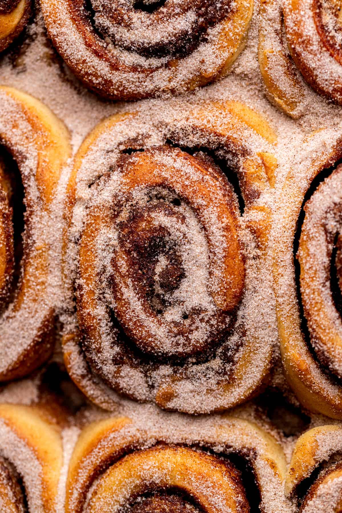Cinnamon sugar on top of rolls.