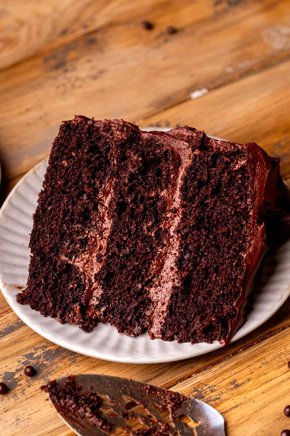 Close up of slice of moist chocolate cake.