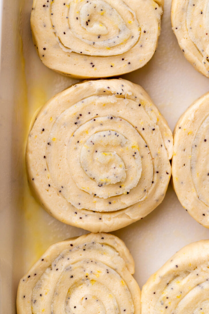 Raw rolls in a pan.