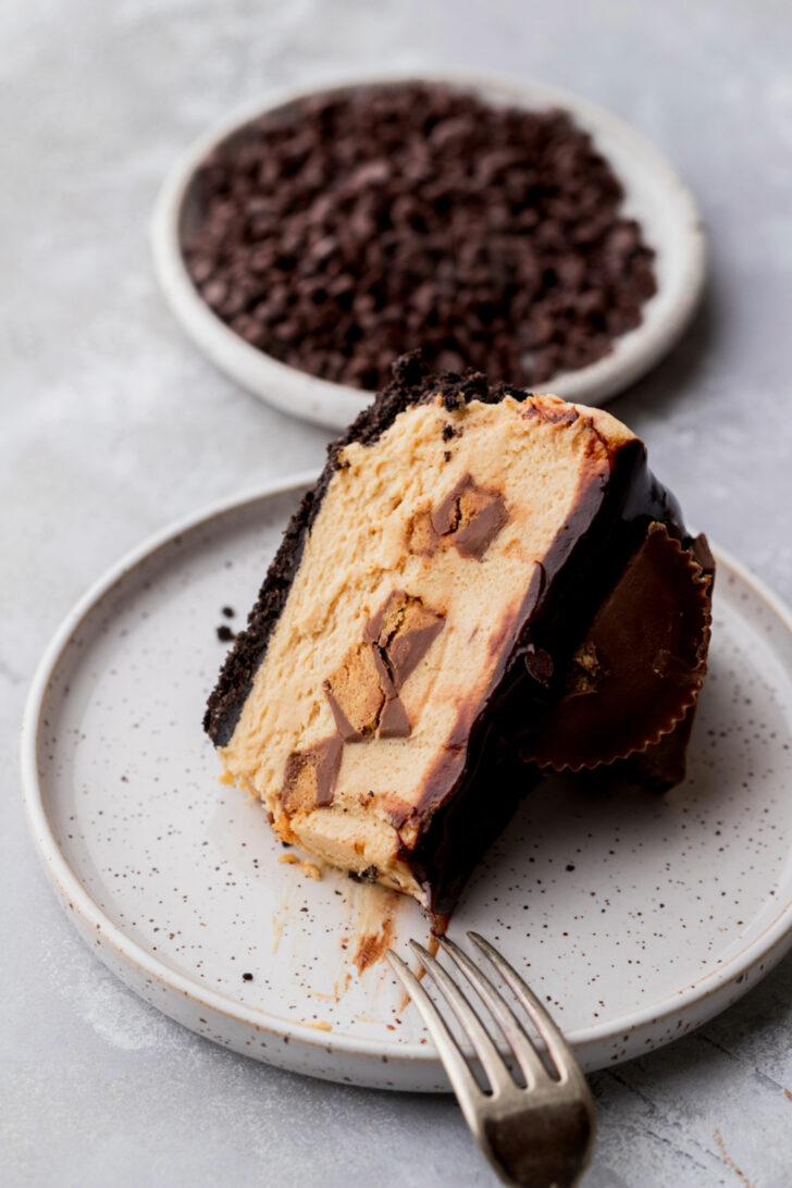 Bite missing from the pie on a plate.