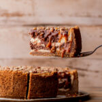 Taking a slice out of turtle cheesecake.