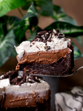 Taking a slice out of the Mississippi mud pie.