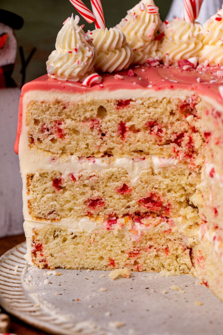 Close up of the side of the cake.