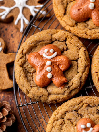 Top view of molasses cookies.