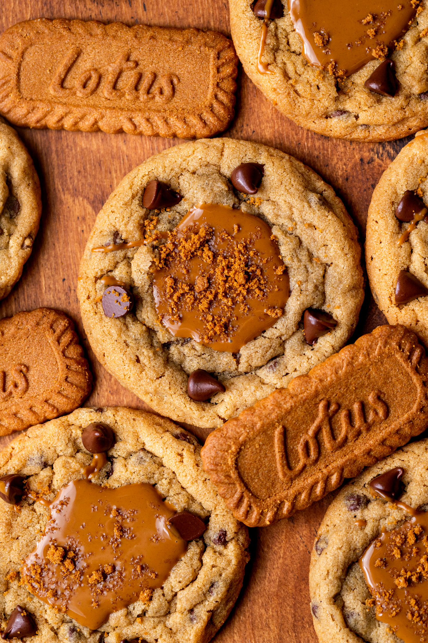 Lotus chocolate chip cookie 