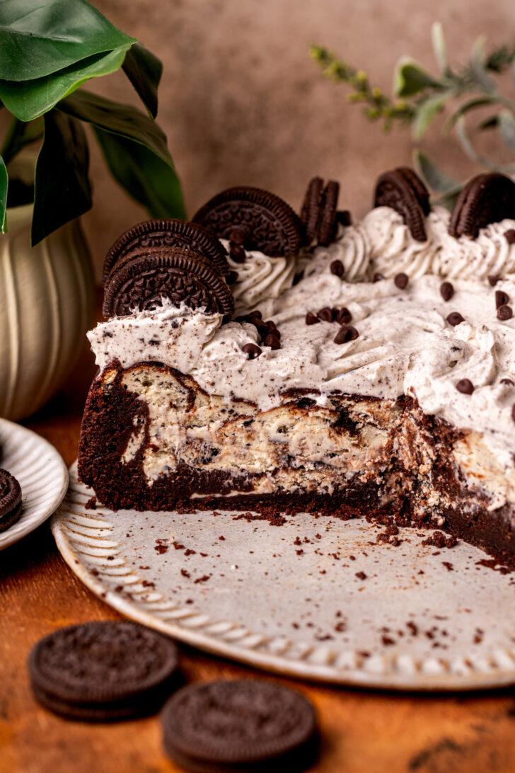 Side view of cheesecake.