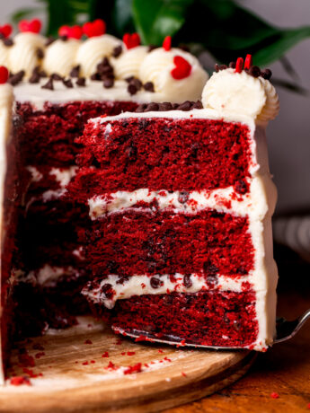 Taking a slice out of red velvet chocolate chip cake.