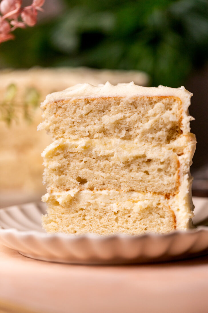 One slice of cake standing up on a plate.