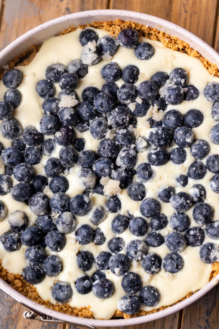 Blueberries on top of cheesecake batter.