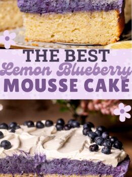 Pinterest pin for lemon blueberry mousse cake.