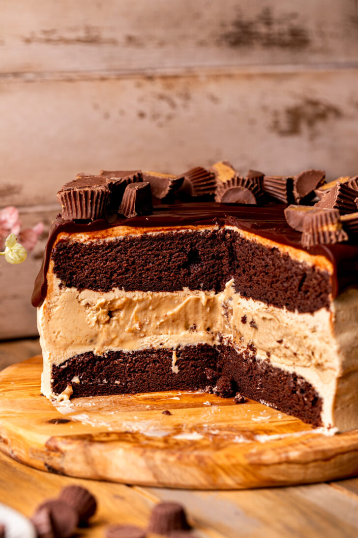 Side view of chocolate peanut butter ice cream cake.