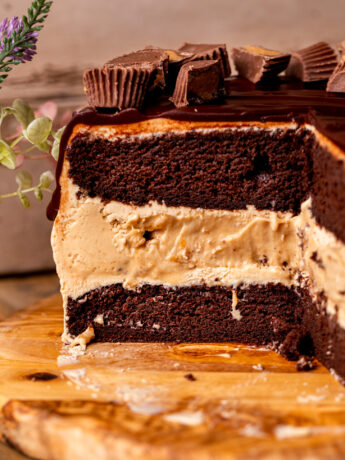 Close up of the side of chocolate peanut butter ice cream cake.