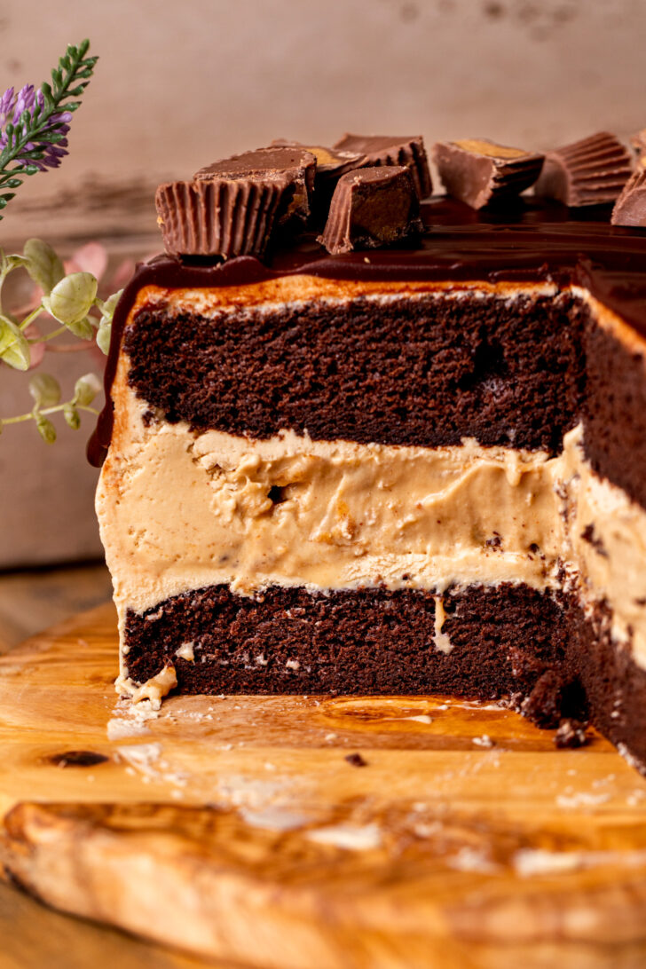 Close up of the side of chocolate peanut butter ice cream cake.