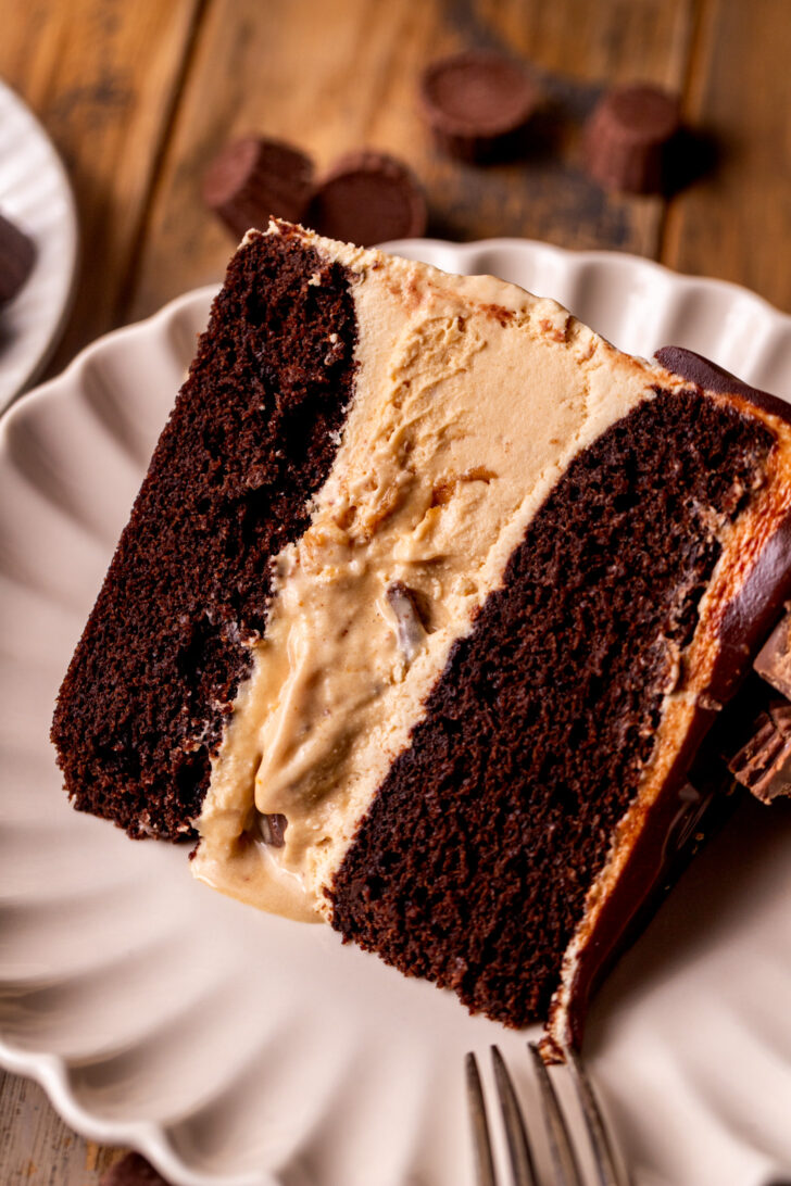 Slice of cake on a plate.