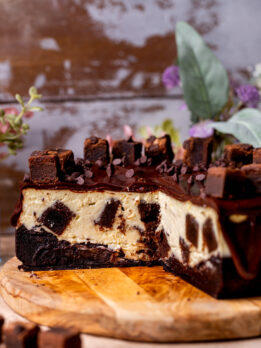 Side view of opened brownie filled cheesecake.
