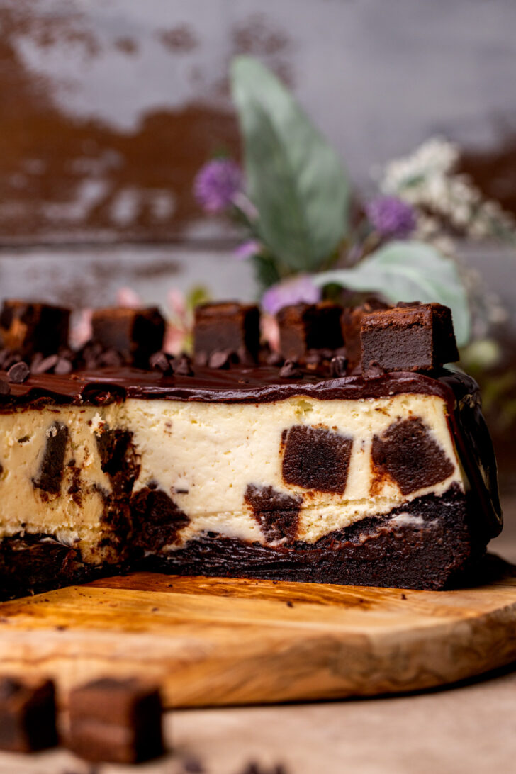 Side view of opened cheesecake.