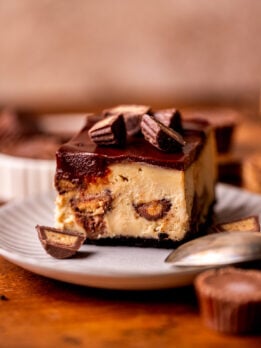 One slice of peanut butter cheesecake bar on a plate.