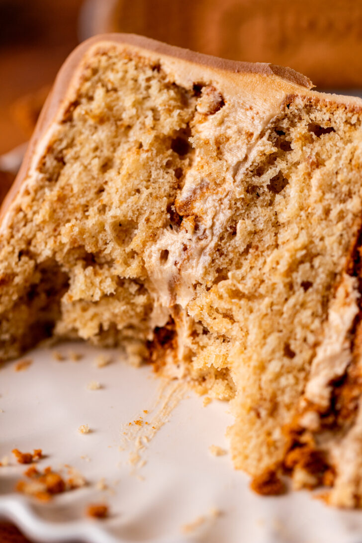 Close up of slice of cake.