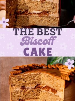 Pinterest pin for Biscoff cake.
